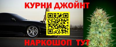 гидра Бузулук