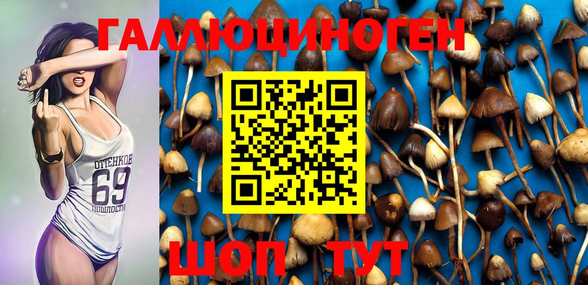 Галлюциногенные грибы Psilocybe Лабытнанги