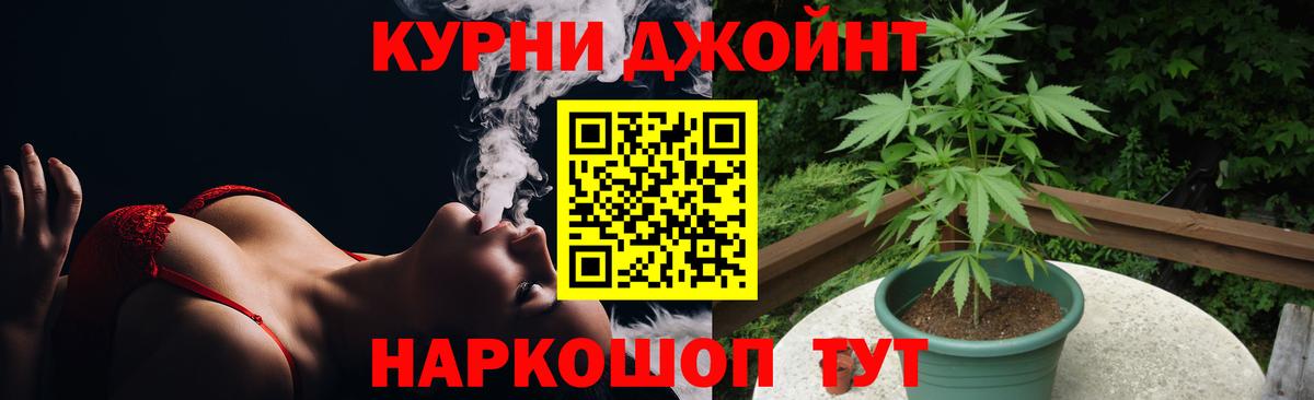Канабис MAZAR Лабытнанги